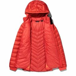 Best Pirce π Berghaus Tephra Stretch Reflect Down Jacket π© Women poinciana/tonallydrkrpoinciana π 8 Best Pirce π Berghaus Tephra Stretch Reflect Down Jacket π© Women poinciana/tonallydrkrpoinciana π -Winter Jackets & Parkas Sales Store berghaus tephra stretch reflect down jacket women poinciana tonallydrkrpoinciana 3