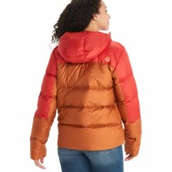 Buy 🎉 Marmot Guides Down Hoody 👩 Women copper/cairo 🤩 -Winter Jackets & Parkas Sales Store marmot guides down hoody women copper cairo 4