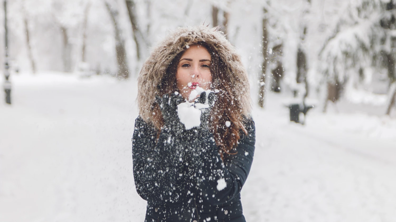 Winter Jackets & Parkas Sales Store -Winter Jackets & Parkas Sales Store 65475443